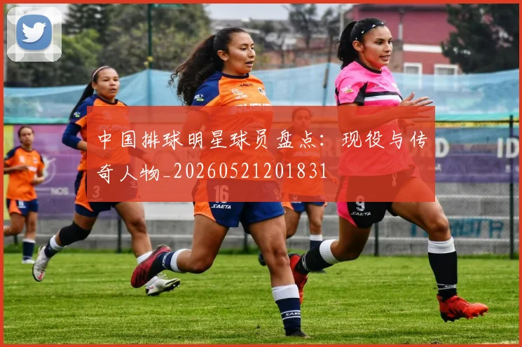 中国排球明星球员盘点:现役与传奇人物_20260521201831